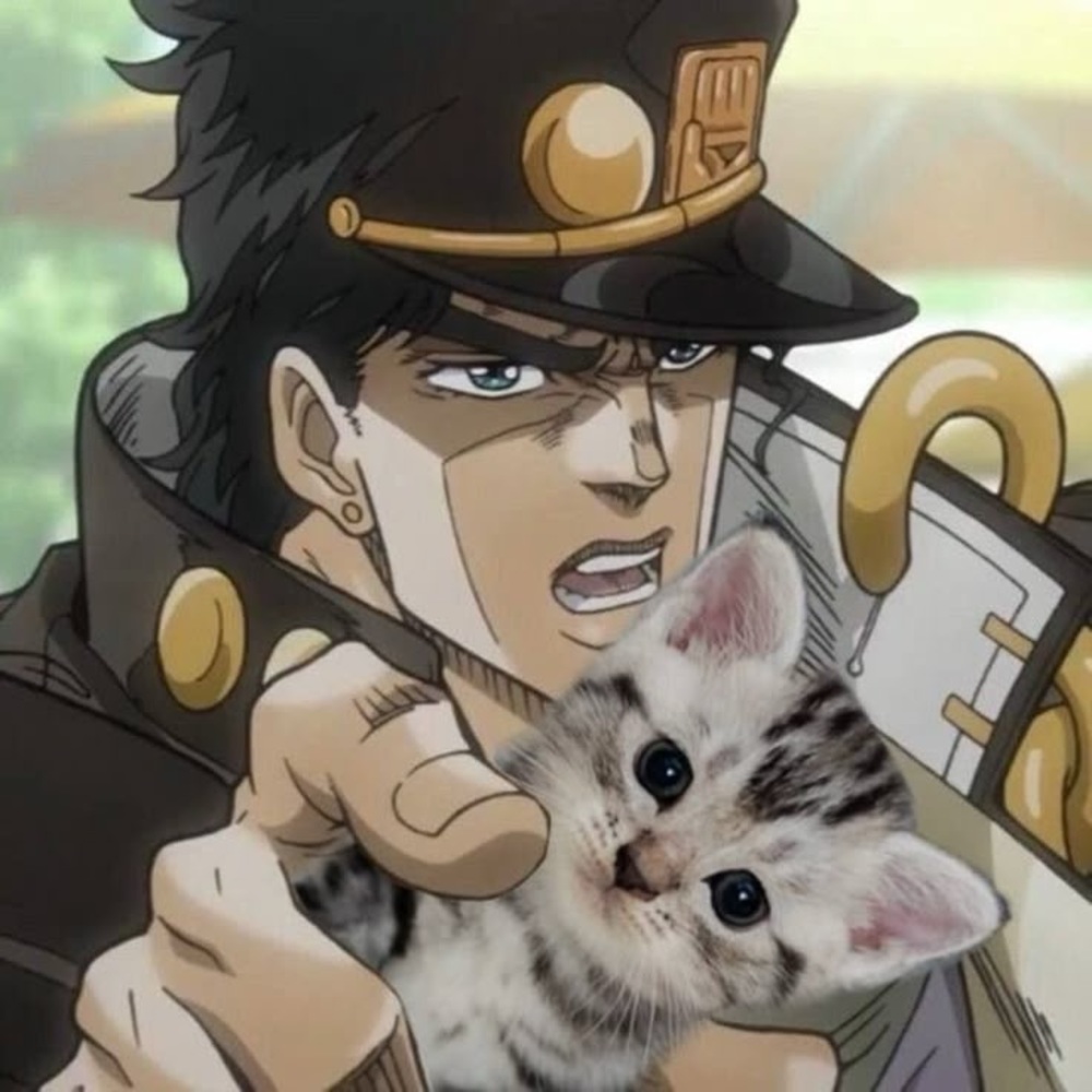 Meet your Posher, Lynnette